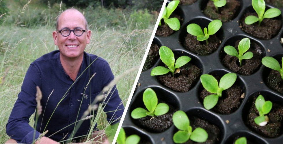 Green & Growing plockar in nya miljoner – backas av Leovegas-grundaren
