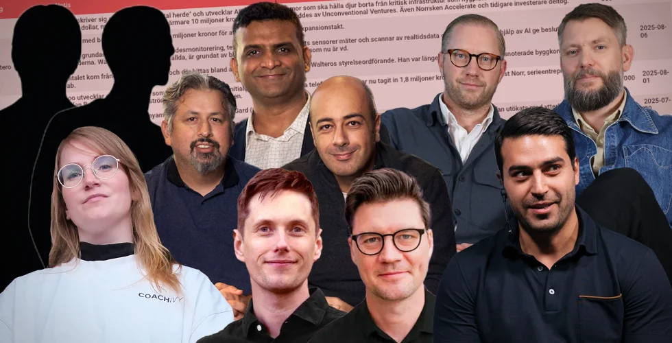 Vikingar, dockhus och AI-agentstyrkor – här är bolagen som lockat investerare