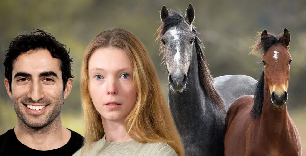 Alequi backades av Pär Svärdson – nu går de i konkurs