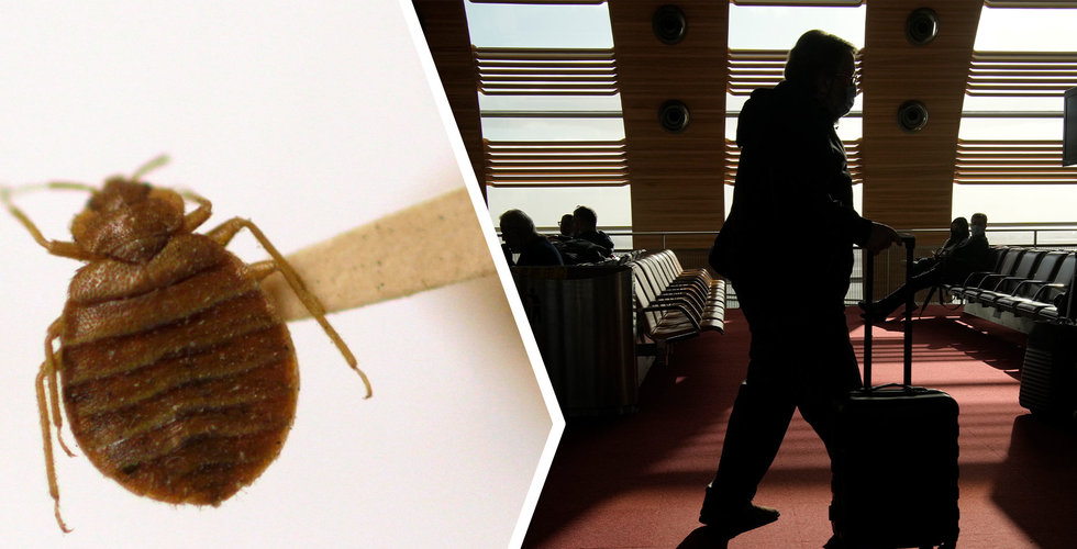 Explosion av vägglöss – är det jackpott för den här startupen?