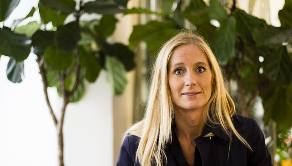 Breakit - Techinvesterarens plan B: Skapa ett "boardridersparadis" i Karibien