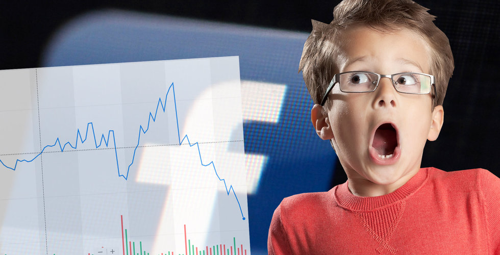 2000 miljarder (!) utraderade för Facebooks aktieägare