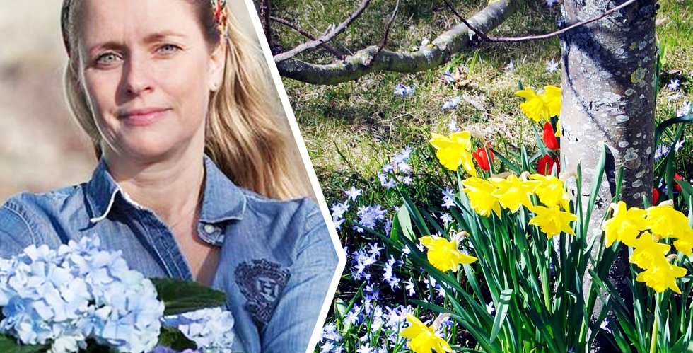 Gardenize i konkurs: “Var med tungt hjärta konkursansökan skickades in”