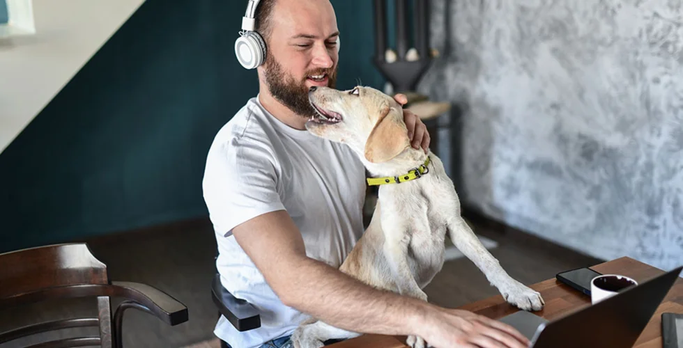 Så skyddar du verksamheten mot oväntade händelser – enkelt online