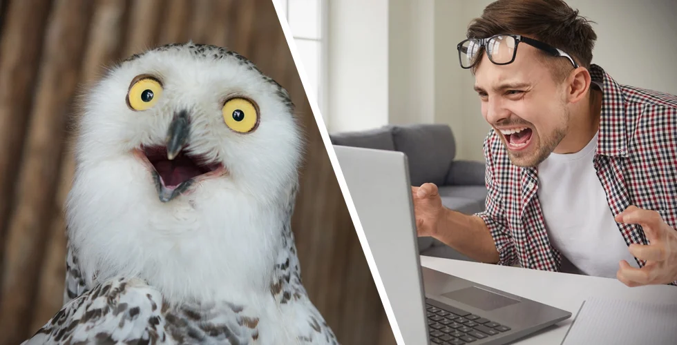 Misslyckad uppdatering hos Cloudflare – därför kraschade typ hela internet