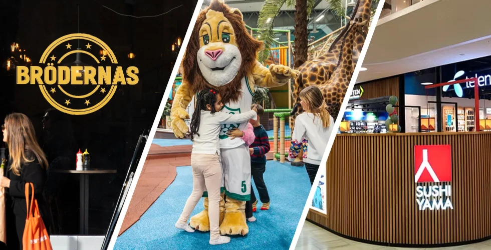 Uppgifter: Riskkapitalbolaget Litorina söker nya investerare: “Inte ett gott tecken”