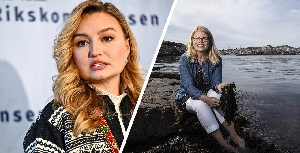 Inkubatorer vill låta startups söka alla stöd – i samma AI-assistent