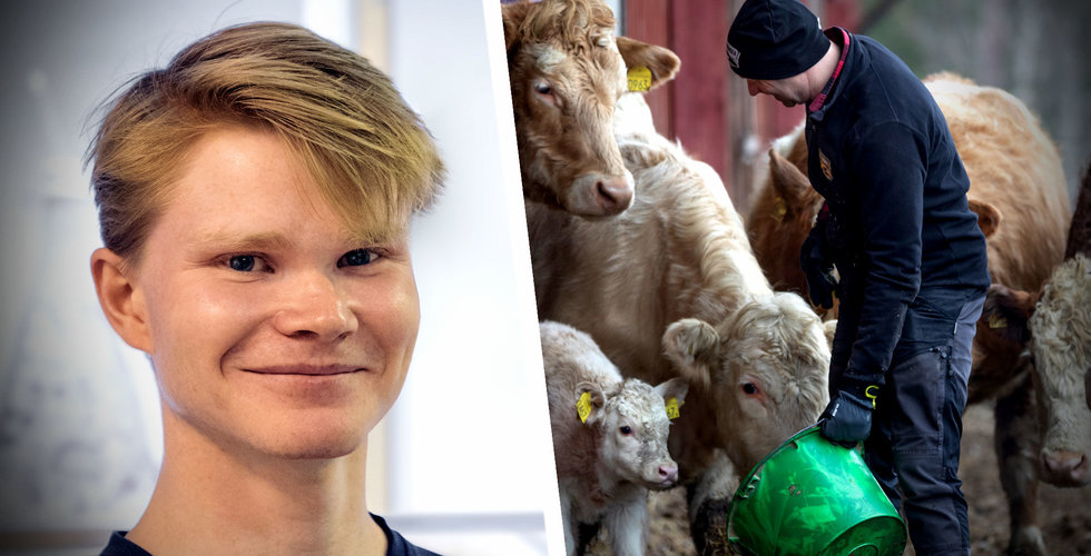 Genombrott för Volta Greentech – nu ska de skala upp